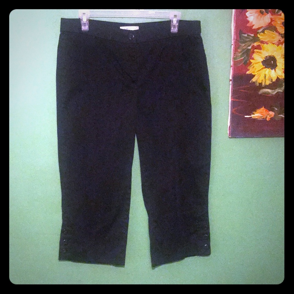 (Coldwater Creek) Capri Pants